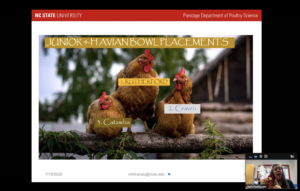 Cover photo for 4-H Youth Find Studying Poultry During Pandemic Pays Off