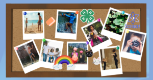 Cover photo for 4-H Healthy Living Challenge