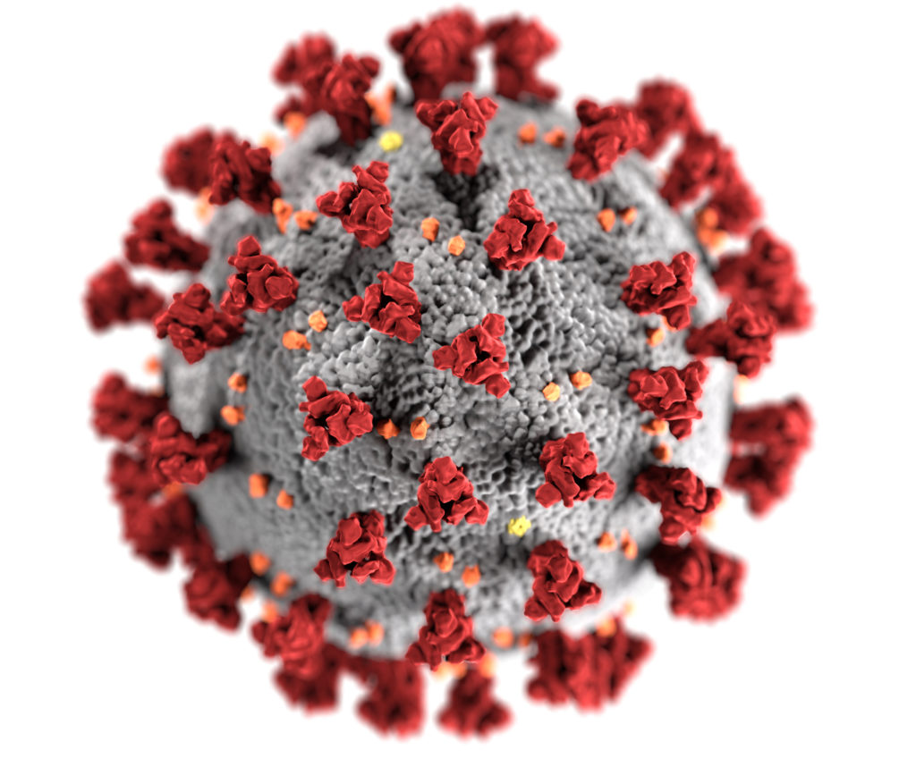 The image is a virus cell