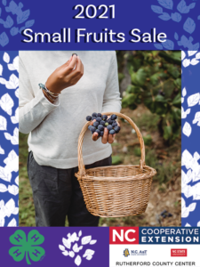 Cover photo for Rutherford County Is Hosting Their Annual Fruit Sale!