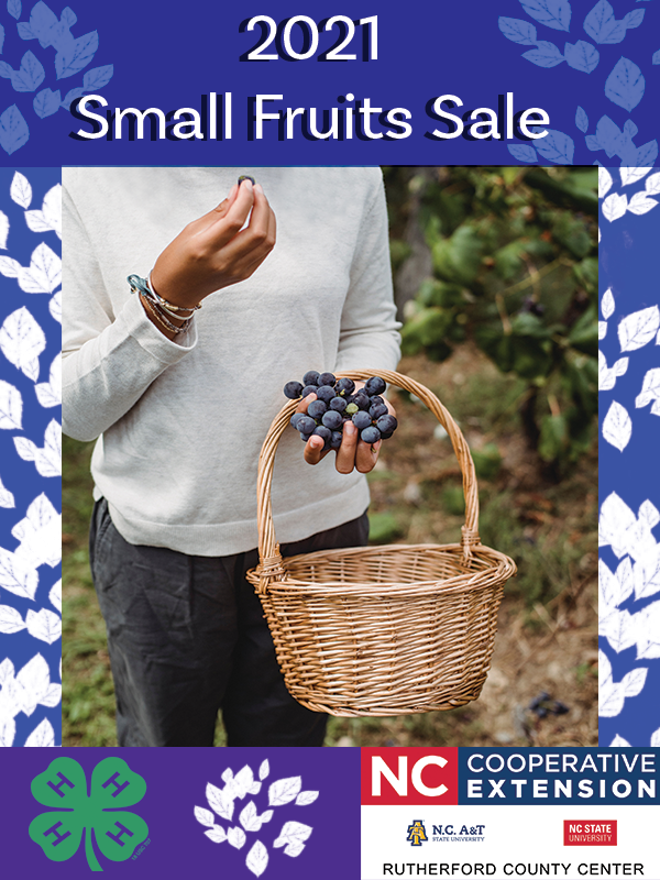 Small Fruit Plant Sale  N.C. Cooperative Extension