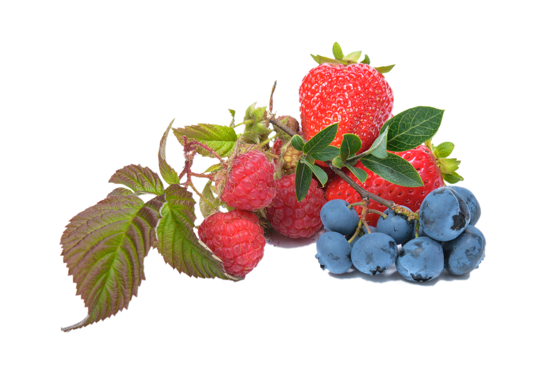 Strawberries and blueberries with stems