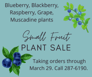 Cover photo for Small Fruit Plant Sale