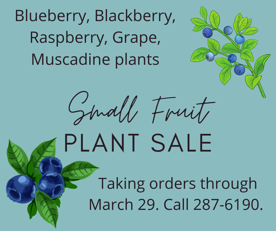Small Fruit Plant Sale  N.C. Cooperative Extension