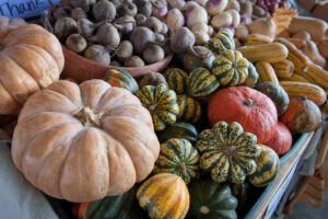 Collection of fall produce including pumpkin, acorn squash, and butternut squash.