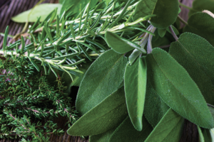 Sage and Rosemary Leaves