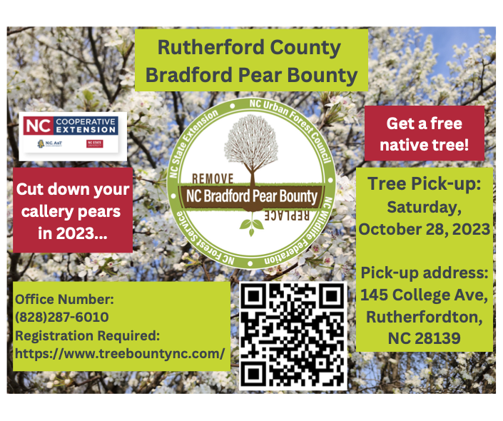 Rutherford Count Bradford Pear Bounty