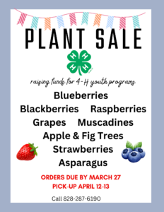 Cover photo for 4-H Small Fruit Plant Sale