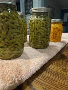 Jars of pressure canned green beans and carrots.